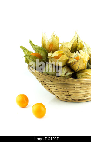 Kap-Stachelbeere, Physalis isoliert auf weißem Hintergrund. Stockfoto