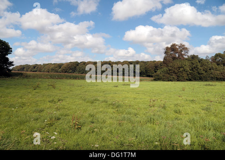 Ein Blick über das Schlachtfeld 1415 bei Azincourt (Agincourt), Nord-Pas-de-Calais, Pas-de-Calais, Frankreich. Stockfoto