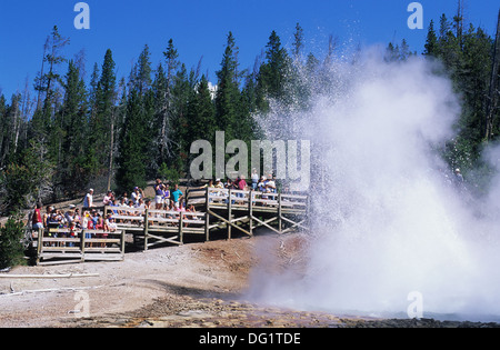 Elk265-1733 Wyoming, Yellowstone-Nationalpark, Norris Geyser Basin, Echinus Geyser Stockfoto