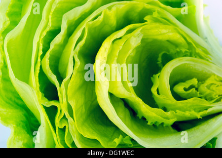 Frischer grüner Salat. Stockfoto