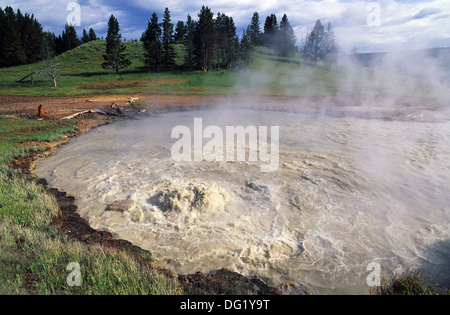 Elk265-2345 Wyoming, Yellowstone-Nationalpark, Mud Volcano, Buttern Kessel Stockfoto