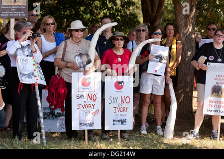 Elefant März Demonstranten protestieren gegen Wilderei für Elfenbein - Washington, DC USA Schilder hochhalten Stockfoto