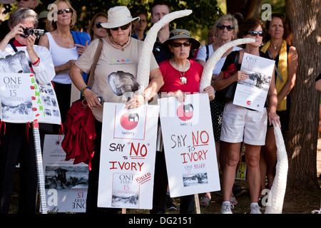 Elefant März Demonstranten protestieren gegen Wilderei für Elfenbein - Washington, DC USA Schilder hochhalten Stockfoto