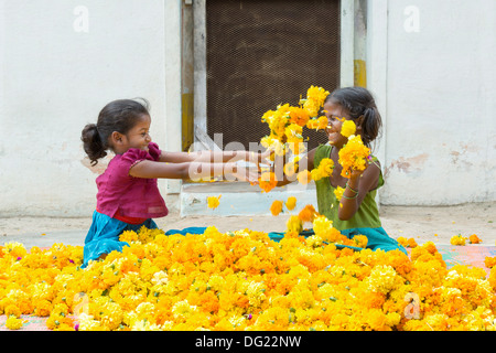 Indische Bauerndorf Mädchen spielen Ringelblumen nach einander zu werfen. Andhra Pradesh, Indien Stockfoto