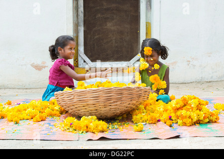 Indische Bauerndorf Mädchen werfen Ringelblumen. Andhra Pradesh, Indien Stockfoto