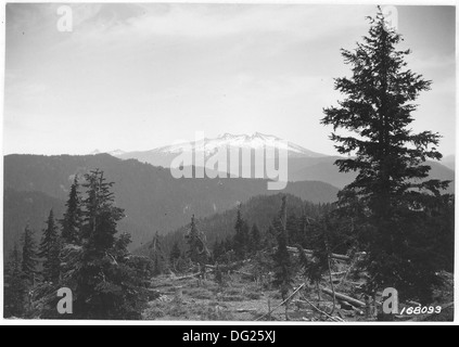 South Fork des Mckenzie River Trail, Cascade Wald, Oregon, 1922. 299201 Stockfoto