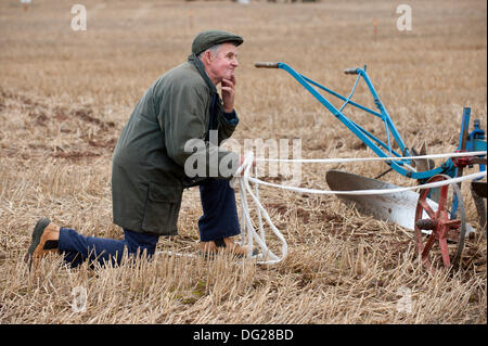 Llanwarne, Herefordshire, England. 12. Oktober 2013. Das Pferd Klasse 6 Pflügen Ereignis bei den nationalen Meisterschaften Pflügen. Mehr als 230 Top britischen Ackermänner konkurrieren in den 2013 britische Pflügen Meisterschaften zum ersten Mal in 27 Jahren Herefordshire zugeführt haben. Die Top Parteischulen der einzelnen Klassen (reversibel und konventionelle) vertreten Großbritannien bei den Pflügen-Weltmeisterschaften 2014 in Frankreich stattfinden. Bildnachweis: Graham M. Lawrence/Alamy Live-Nachrichten. Stockfoto