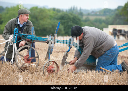 Llanwarne, Herefordshire, England. 12. Oktober 2013. Das Pferd Klasse 6 Pflügen Ereignis bei den nationalen Meisterschaften Pflügen. Mehr als 230 Top britischen Ackermänner konkurrieren in den 2013 britische Pflügen Meisterschaften zum ersten Mal in 27 Jahren Herefordshire zugeführt haben. Die Top Parteischulen der einzelnen Klassen (reversibel und konventionelle) vertreten Großbritannien bei den Pflügen-Weltmeisterschaften 2014 in Frankreich stattfinden. Bildnachweis: Graham M. Lawrence/Alamy Live-Nachrichten. Stockfoto