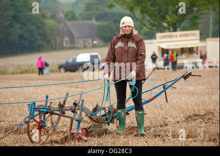 Llanwarne, Herefordshire, England. 12. Oktober 2013. Das Pferd Klasse 6 Pflügen Ereignis bei den nationalen Meisterschaften Pflügen. Mehr als 230 Top britischen Ackermänner konkurrieren in den 2013 britische Pflügen Meisterschaften zum ersten Mal in 27 Jahren Herefordshire zugeführt haben. Die Top Parteischulen der einzelnen Klassen (reversibel und konventionelle) vertreten Großbritannien bei den Pflügen-Weltmeisterschaften 2014 in Frankreich stattfinden. Bildnachweis: Graham M. Lawrence/Alamy Live-Nachrichten. Stockfoto