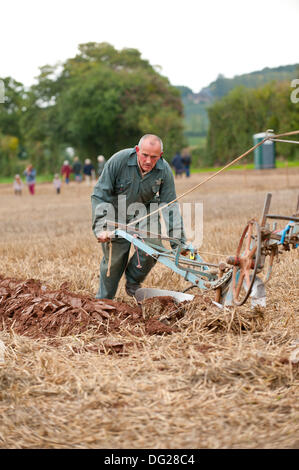 Llanwarne, Herefordshire, England. 12. Oktober 2013. Das Pferd Klasse 6 Pflügen Ereignis bei den nationalen Meisterschaften Pflügen. Mehr als 230 Top britischen Ackermänner konkurrieren in den 2013 britische Pflügen Meisterschaften zum ersten Mal in 27 Jahren Herefordshire zugeführt haben. Die Top Parteischulen der einzelnen Klassen (reversibel und konventionelle) vertreten Großbritannien bei den Pflügen-Weltmeisterschaften 2014 in Frankreich stattfinden. Bildnachweis: Graham M. Lawrence/Alamy Live-Nachrichten. Stockfoto