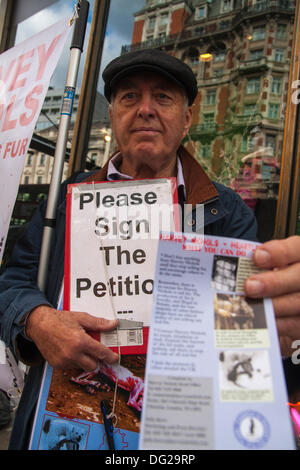 London, UK. 12. Oktober 2013. Koalition zur Abschaffung zeigen die Pelzhandel Demonstranten außerhalb Kaufhaus Harvey Nichols in London, wo Fell Produkte noch verkauft werden. Bildnachweis: Paul Davey/Alamy Live-Nachrichten Stockfoto