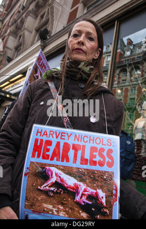 London, UK. 12. Oktober 2013. Koalition zur Abschaffung zeigen die Pelzhandel Demonstranten außerhalb Kaufhaus Harvey Nichols in London, wo Fell Produkte noch verkauft werden. Bildnachweis: Paul Davey/Alamy Live-Nachrichten Stockfoto