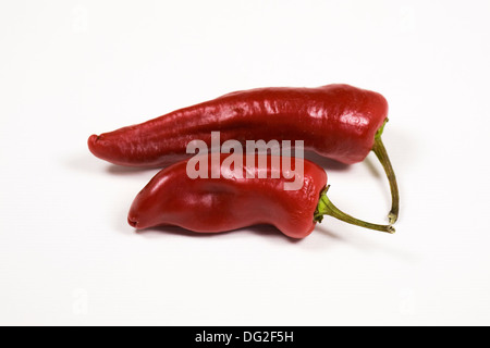 Capsicum Annum "Serenade". Zwei rote Chilischoten auf weißem Hintergrund. Stockfoto