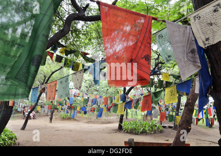 Tibetische Gebetsfahnen im Majnu Ka Tilla Park in Delhi, Indien Stockfoto