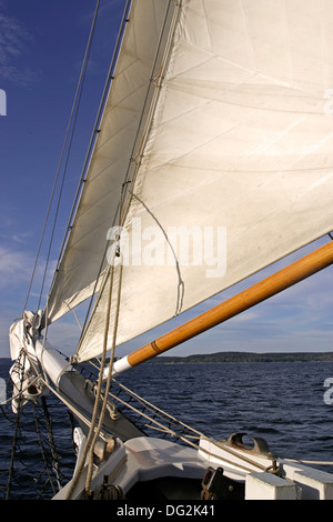 Windjammer-Lewis R. French Segeln Penobscott Bay Maine Küste New England USA Stockfoto