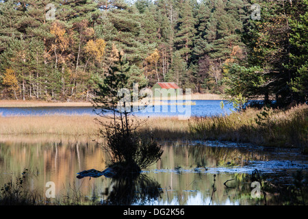 Queens Loch in Aboyne in Aberdeenshire, Schottland. Stockfoto