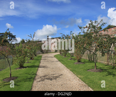 Englischen Country Estate Apfelgarten Stockfoto