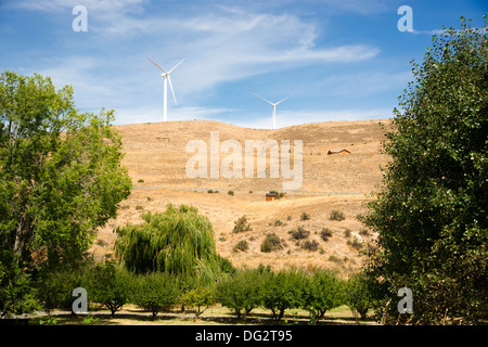 Zwei Windkraftanlagen stehen in der Landschaft Stockfoto