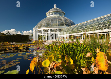 Gewächshaus-Kuppel mit Waterlily Teich im Vordergrund Stockfoto