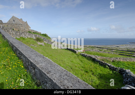 Inis Meain, die Aran Islands, Irland Stockfoto