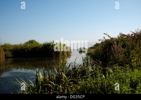 Hula-Spiel und Bird Reserve Israel Obergaliläa Stockfoto