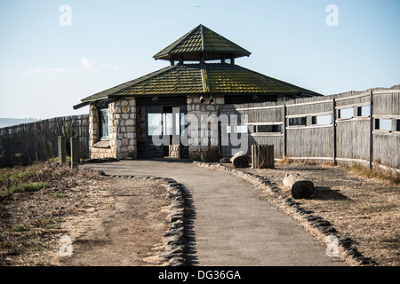 Hala Naturreservat Vogelbeobachtung Jalousien, Agamon Hahula Israel Stockfoto