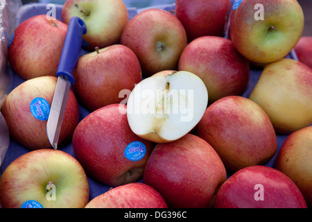 Äpfel (Malus X domestica) auf einem Markt Abwürgen, Hannover, Niedersachsen, Deutschland, Europa Stockfoto