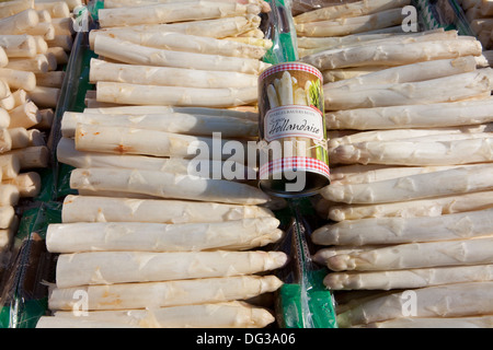 Spargel aus Nienburg an einem Marktstand, Hannover, Niedersachsen, Deutschland Stockfoto