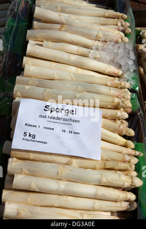 Spargel aus Nienburg an einem Marktstand, Hannover, Niedersachsen, Deutschland Stockfoto