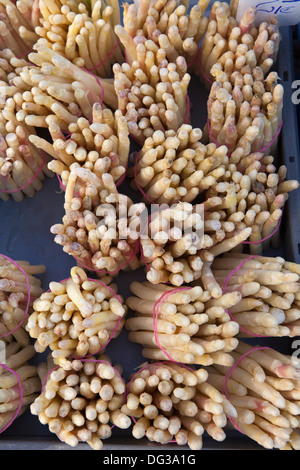 Spargel aus Nienburg an einem Marktstand, Hannover, Niedersachsen, Deutschland Stockfoto