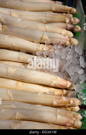 Spargel aus Nienburg an einem Marktstand, Hannover, Niedersachsen, Deutschland Stockfoto