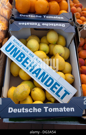 Unbehandelte Zitronen an einem Marketstall, Hannover, Niedersachsen, Deutschland, Europa, Stockfoto