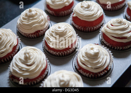 Red Velvet Cupcakes mit Frischkäse, Puderzucker, close-up, High Angle View Stockfoto