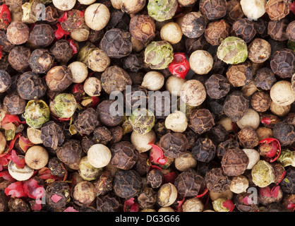 Gemischter Pfeffer essen Textur Hintergrund Stockfoto