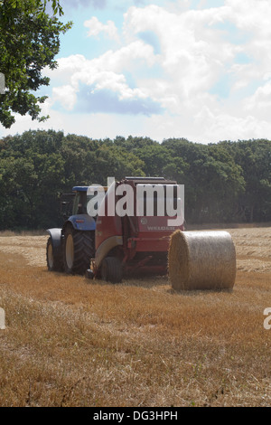 Runde net gebunden und umwickelte Ballen mit Traktor gezogen, Pressen Maschine, arbeiten über Reihen von Stroh, vom Mähdrescher. Stockfoto