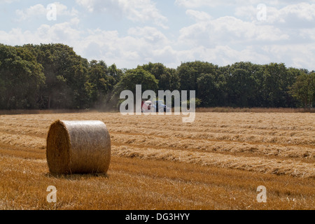 Runde net gebunden und umwickelte Ballen mit Traktor gezogen, Pressen Maschine, arbeiten über Reihen von Stroh, vom Mähdrescher. Stockfoto