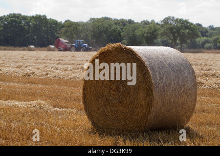 Runde, Traktor gezogen, Pressen Maschine, arbeiten über Reihen Stroh Mähdrescher geerntet. Ballen Vordergrund. Stockfoto