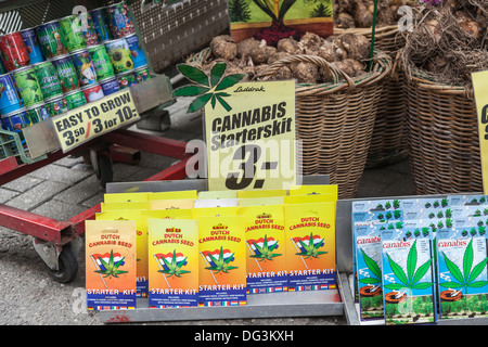 Cannabis-Samen in der Blume Markt, Amsterdam, Holland - Cannabis-Starter-Kit - mit anderen Paketen Samen verkauft Stockfoto