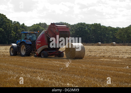 Rund Traktor gezogen, Pressen Maschine, arbeiten über Reihen kombinieren geerntete Stroh vom Schnitt und Getreide gedroschen. Stockfoto