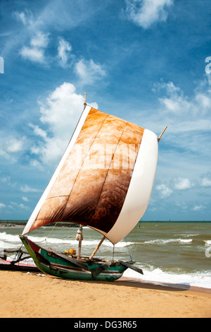 Fischer Katamaran "Oruwa" Boot, Negombo, Sri Lanka, Indischer Ozean, Asien Stockfoto