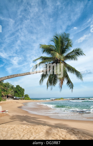 Tropischer Strand, Südküste, Tangalla, Sri Lanka, Indischer Ozean, Asien Stockfoto