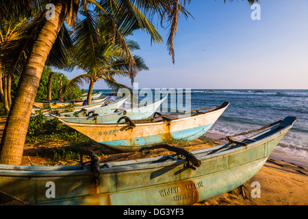 Traditionelle Sri Lanka Fischerboote auf Mirissa Beach, South Coast, Sri Lanka, Asien Stockfoto
