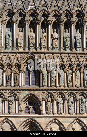 Detail der Fassade, Nidaros Kathedrale, Trondheim, Sor-Tröndelag, Norwegen, Skandinavien, Europa Stockfoto