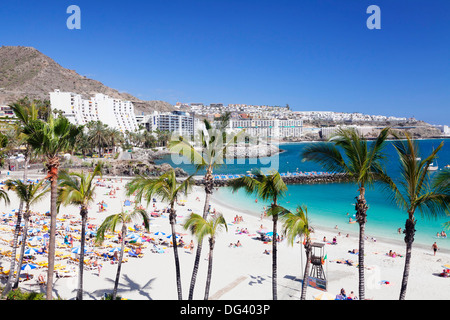 Palmen am Strand, Arguineguin, Anfi del Mar, Playa De La Verga, Gran Canaria, Kanarische Inseln, Spanien, Atlantik, Europa Stockfoto