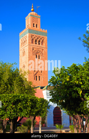 Minarett, die Koutoubia-Moschee aus dem 1147, UNESCO-Weltkulturerbe, Marrakesch, Marokko, Nordafrika, Afrika Stockfoto