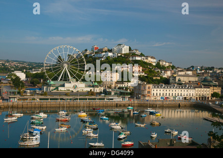 Hafen von Torquay, Devon, England, Vereinigtes Königreich, Europa Stockfoto