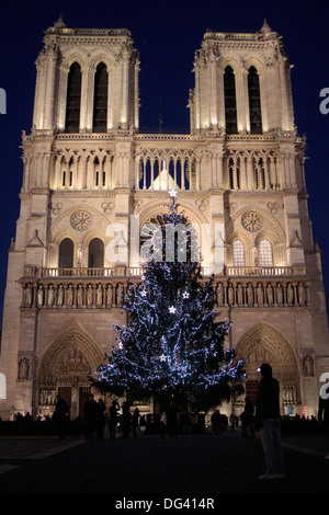 Weihnachtsbaum, Kathedrale Notre-Dame de Paris, Paris, Frankreich, Europa Stockfoto