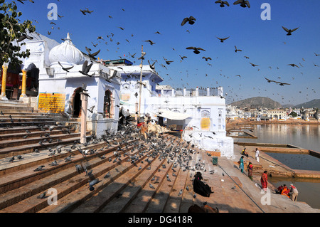 Ghats am Heiligen Pushkar-See und alten Rajput Palästen, Pushkar, Rajasthan, Indien, Asien Stockfoto