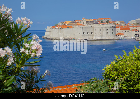 Blick auf die Altstadt, Stadt, Cavtat, Dubrovnik Riviera, Dalmatien, Dalmatien, Kroatien, Europa Stockfoto