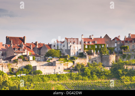 Le Clos Weinberg unterhalb der Hügel Dorf von Vezelay im Burgund, Frankreich Stockfoto